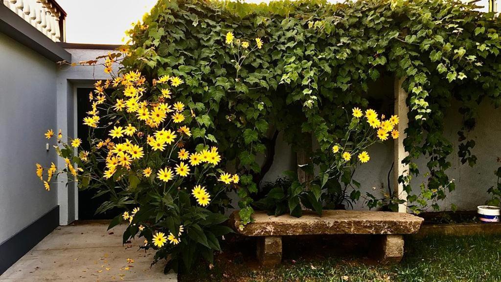 Casa Às Sete Angra do Heroísmo Exterior foto