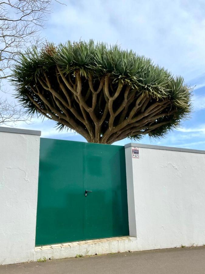 Casa Às Sete Angra do Heroísmo Exterior foto